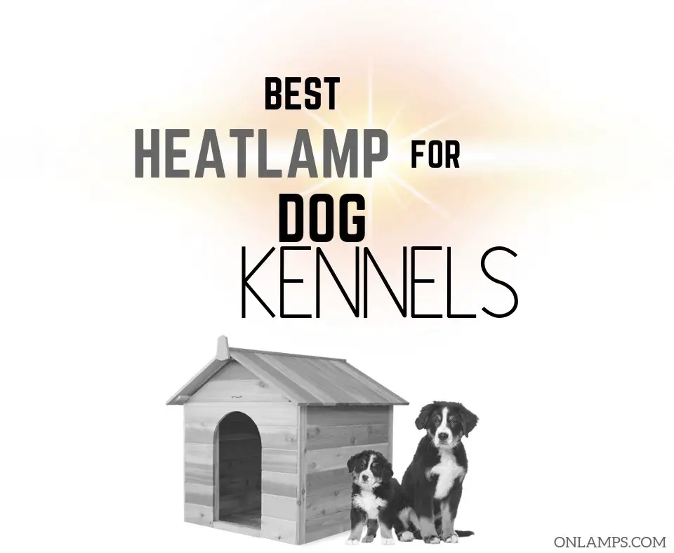 Heat Lamp for Dog Kennel